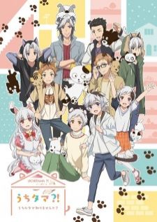 Uchi Tama Uchi no Tama Shirimasen ka — ซับไทย