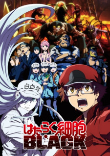 Hataraku Saibou Black — ซับไทย