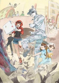 Hataraku Saibou (TV) — ซับไทย