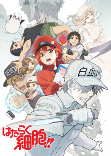 Hataraku Saibou — ซับไทย